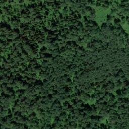 Satellite imagery of Бол. Подикова, RU