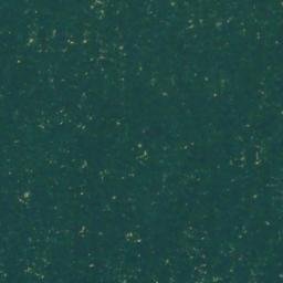 Satellite imagery of Bushy Point, US