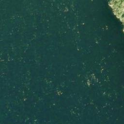 Satellite imagery of Bushy Point, US