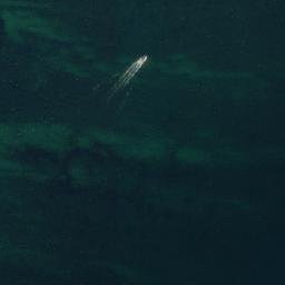 Satellite imagery of Bøgehoved, DK