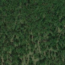 Satellite imagery of Ур. Кедровое Болото, RU