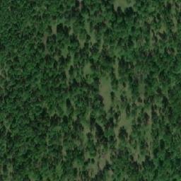 Satellite imagery of Ур. Кедровое Болото, RU