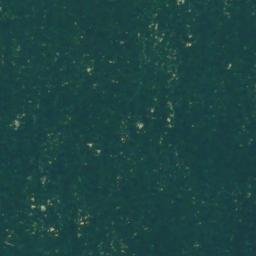 Satellite imagery of Bushy Point, US