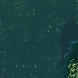 Satellite imagery of Bushy Point, US