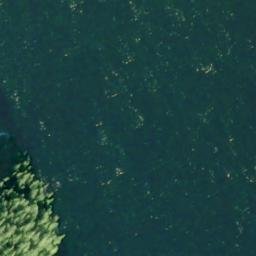 Satellite imagery of Bushy Point, US