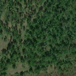 Satellite imagery of Ур. Кедровое Болото, RU