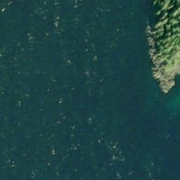 Satellite imagery of Bushy Point, US