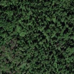 Satellite imagery of Березовая, RU