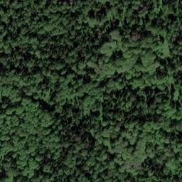 Satellite imagery of Березовая, RU