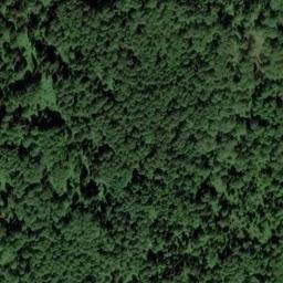 Satellite imagery of Березовая, RU
