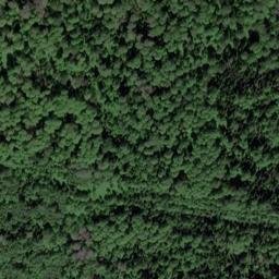 Satellite imagery of Березовая, RU