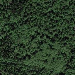 Satellite imagery of Березовая, RU