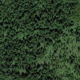 Satellite imagery of Березовая, RU
