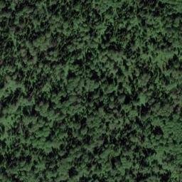 Satellite imagery of Березовая, RU