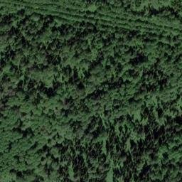 Satellite imagery of Березовая, RU