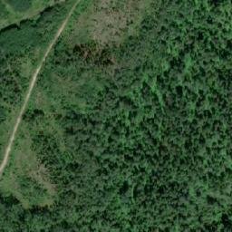 Satellite imagery of Bear Mountain, CA