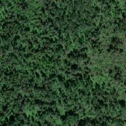 Satellite imagery of Bear Mountain, CA