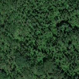 Satellite imagery of Bear Mountain, CA