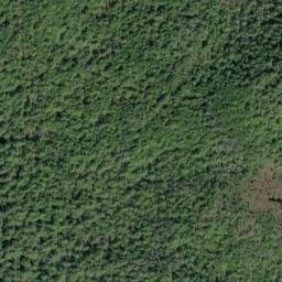 Satellite imagery of Point Desconocida, US