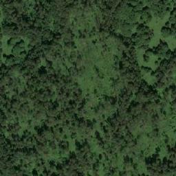Satellite imagery of Высокая Грива, RU