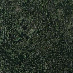 Satellite imagery of Wolf Ridge, CA