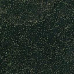 Satellite imagery of Wolf Ridge, CA