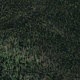 Satellite imagery of Wolf Ridge, CA