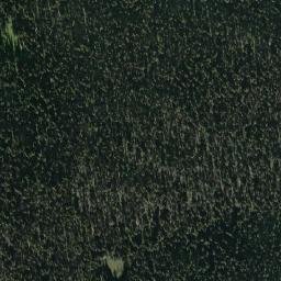 Satellite imagery of Wolf Ridge, CA