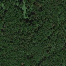 Satellite imagery of Левинский Нов., RU