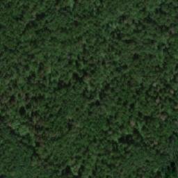 Satellite imagery of Левинский Нов., RU