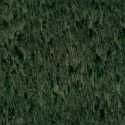 Satellite imagery of Левинский Нов., RU