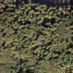 Satellite imagery of Træskohage, DK