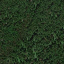 Satellite imagery of Левинский Нов., RU