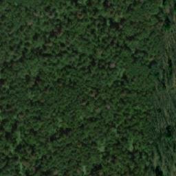 Satellite imagery of Левинский Нов., RU