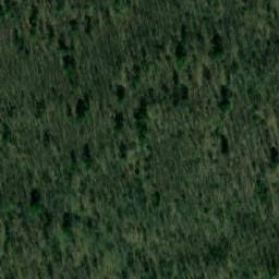 Satellite imagery of Левинский Нов., RU