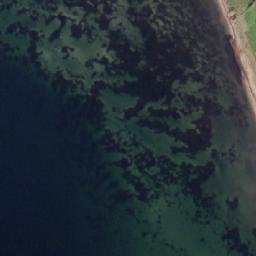 Satellite imagery of Træskohage, DK