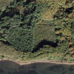 Satellite imagery of Træskohage, DK