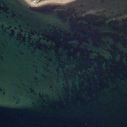 Satellite imagery of Træskohage, DK