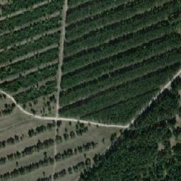 Satellite imagery of Ledų Ragas, LT