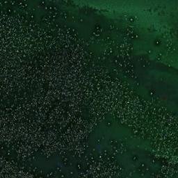 Satellite imagery of Kalundborg Longwave Antenna, Tower North, DK