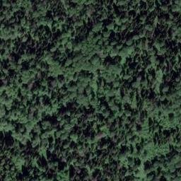 Satellite imagery of Одиночный, RU