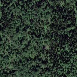 Satellite imagery of Одиночный, RU