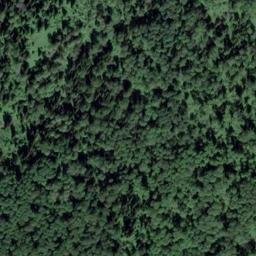Satellite imagery of Одиночный, RU