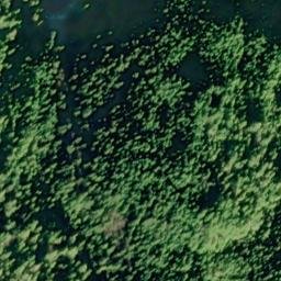 Satellite imagery of Escape Point, US