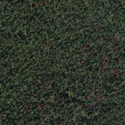 Satellite imagery of Diver Peak, CA