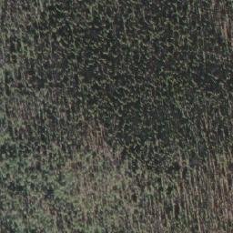 Satellite imagery of Skeleton Mountain, CA