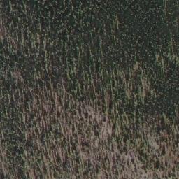 Satellite imagery of Skeleton Mountain, CA