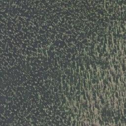 Satellite imagery of Blackjack Mountain, CA