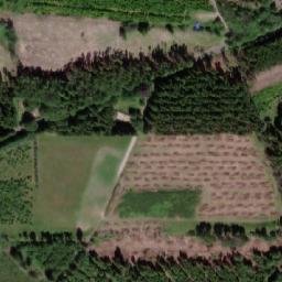 Satellite imagery of Trindhøj, DK