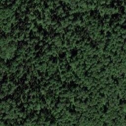 Satellite imagery of Верх. Барзасский, RU